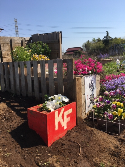 KING農園　5月10日